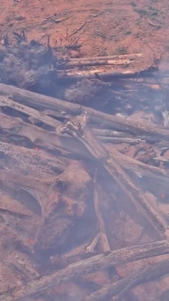 Construction Site Lot Uprooted Forest Being Burned Construction Houses Need — Stock Video