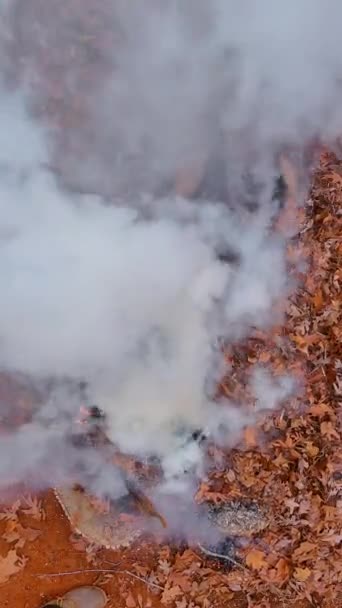 裏庭で乾燥した秋の葉の山で作業するときに煙と炎この春 — ストック動画