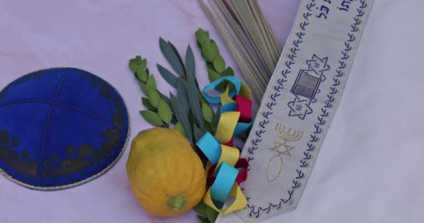 Sukkot Jewish Orthodox Festival Holidays Presence Traditional Symbols Etrog Lulav — Video