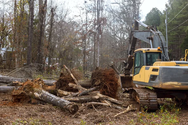 Stock image Worker is uprooting trees in forest with excavator to make space for house.