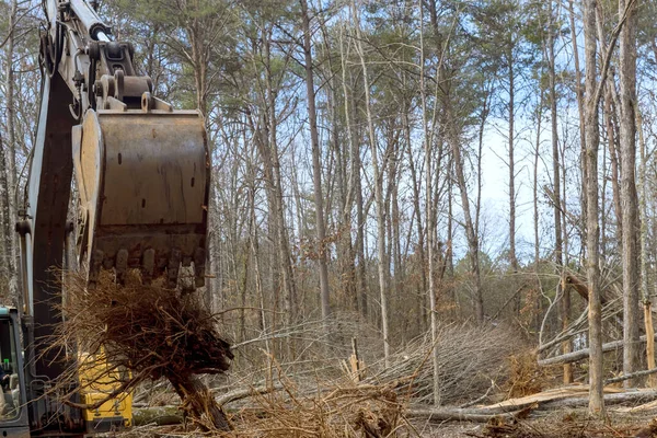 Bir kazı işçisi kullanarak ağaç kökünden sökme işlemi sonucunda orman inşaatı için zemin hazırlandı