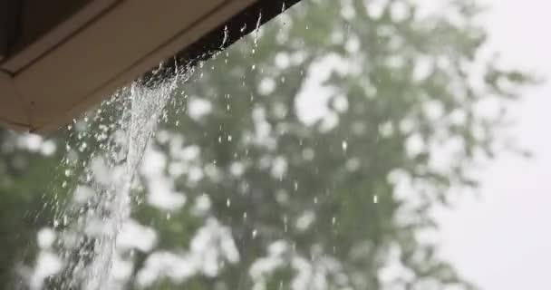 Şiddetli Yağmur Yağdığında Oluktan Taşar — Stok video