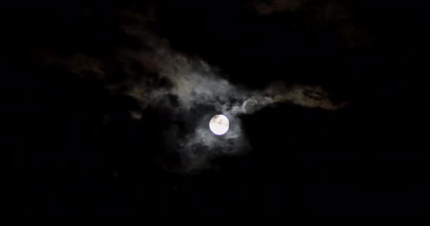 Través Del Cielo Nocturno Luna Mueve — Vídeos de Stock