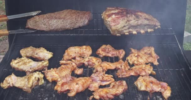 Parrilla Barbacoa Perfecta Para Cocinar Diferentes Tipos Carne Como Carne — Vídeos de Stock