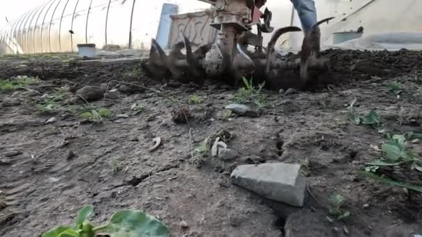 Farmer Plowing Land Using Tiller Block Cultivator Machinery Soil Cultivation — Stock Video