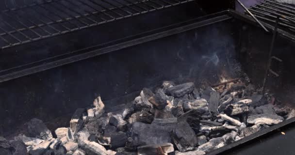 Prepare Barbecue Grilling Meat Coals Flames Grill — Stock Video