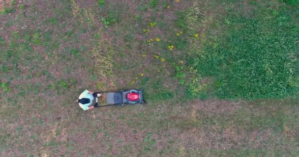 Selama Memotong Rumput Hijau Halaman Belakang Dengan Mesin Pemotong Rumput — Stok Video
