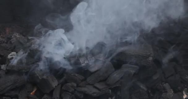 Grillkohle Über Rauch Und Flammen Zubereiten Heißt Sie Voraus Zuzubereiten — Stockvideo