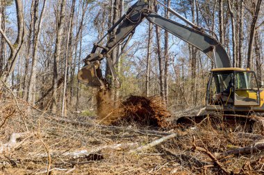 Bir kazıcı işçisinin yardımı sonucunda ağaçlar ormandan alınır inşaat için zemin hazırlanır.