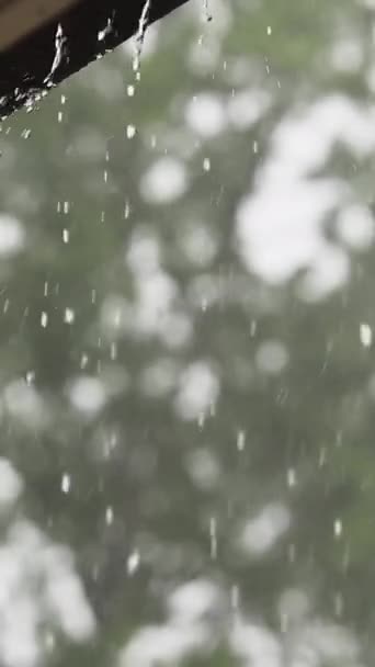 Şiddetli Yağmur Yağdığında Oluktan Taşar — Stok video