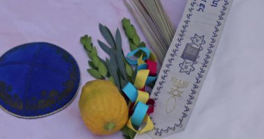 Sukkot, Jewish Orthodox festival Holidays is presence of traditional symbols such as Etrog, lulav, hadas, arava.