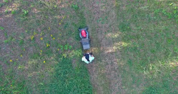 家の近くの芝刈り機で裏庭の緑の草を刈る — ストック動画