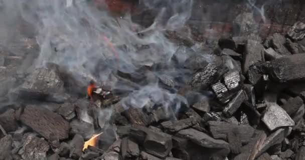 Usar Carvão Para Grelhar Carne Sobre Fumaça Chamas Uma Das — Vídeo de Stock