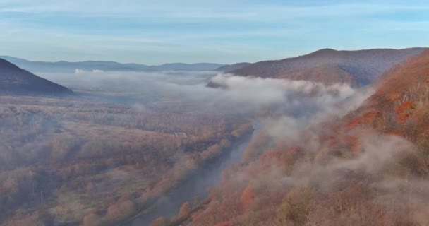 Prachtige Vroege Ochtend Scene Van Karpaten Bergbossen Omgeven Door Mistige — Stockvideo