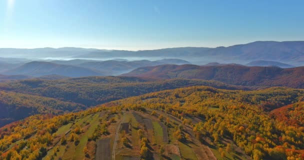 Autumn Transforms Carpathians Mountain Valley Magical Landscape Misty Fog Veiling — Stock Video