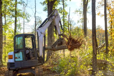 Tractor skid steer clearing land from roots for being prepared for construction housing development complex clipart
