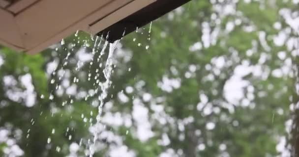 Κατά Διάρκεια Της Έντονης Βροχής Νερό Προέρχεται Από Υδρορροές — Αρχείο Βίντεο