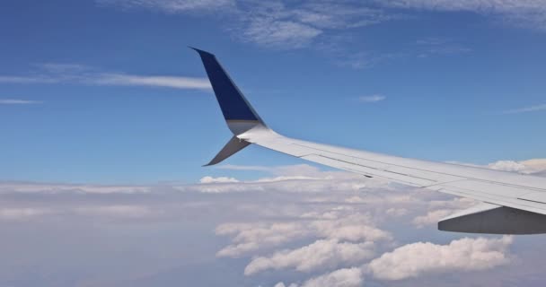 Okna Létající Letadlo Křídlo Klouže Elegantně Přes Majestátní Rozlehlost Moře — Stock video