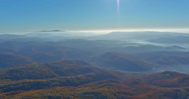 霧深い秋のシーンの距離と山の森のカルパチアの谷の早朝 — ストック動画