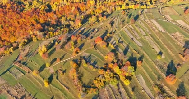 Wysokości Karpat Mała Wioska Otoczona Jesiennymi Polami Górach — Wideo stockowe
