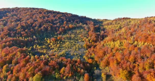 Lille Landsby Karpaterne Efteråret Bjerge – Stock-video