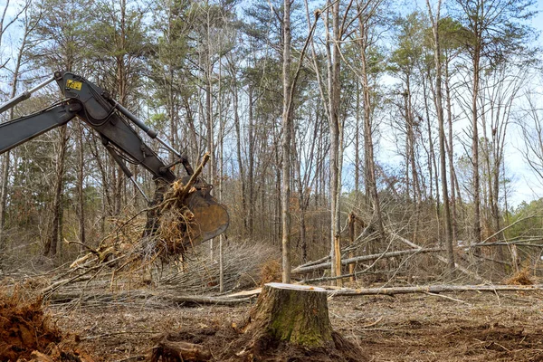 stock image An excavator is used to uproot trees found in forest worker prepare ground for building house