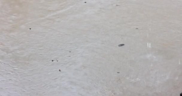 Gotas Chuva Calçada Concreto Com Chuvas Intensas Durante Mau Tempo — Vídeo de Stock