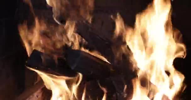 Flamman Brinnande Ved Vintersäsongen Kan Ses — Stockvideo