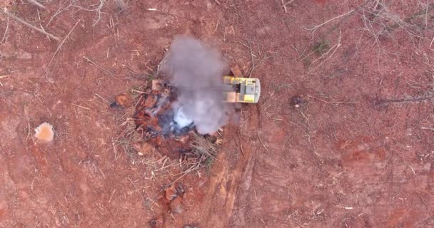 Trabajador Excavadoras Prepara Área Tierra Quemando Árboles Desarraigados Para Construcción — Vídeos de Stock