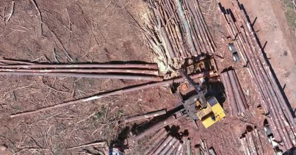 Ładowanie Wyciętych Drzew Ciężarówki Pomocą Manipulatora Dźwigiem — Wideo stockowe