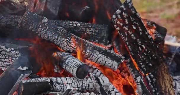 Plamen Ohně Spaluje Hranici Hořící Dřevo Táboře Oheň — Stock video