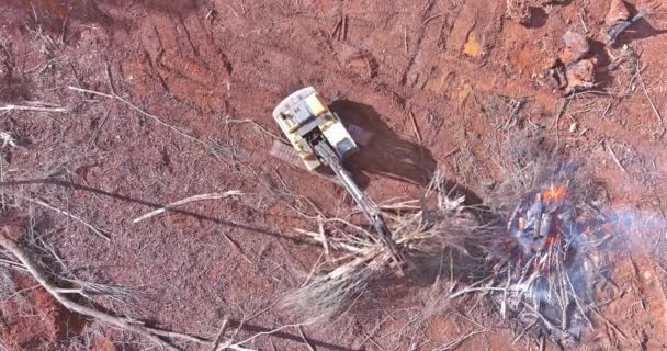 Trabajador Excavadoras Limpia Preparar Terreno Mediante Quema Árboles Desarraigados Para — Vídeos de Stock