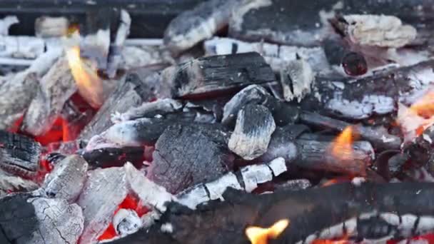 Barbecue Grill Sizzles Brazier Firewood Meat Outdoors — Stock Video