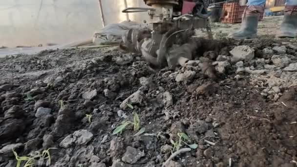 Jardim Agricultor Ele Arado Chão Com Uso Motor Cultivador Tiller — Vídeo de Stock