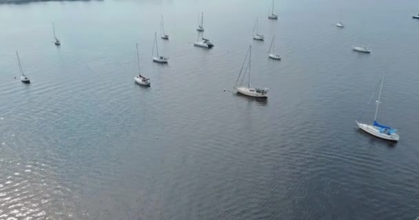 現代の水輸送ライフスタイル 海で多くの美しいボート帆船ヨット — ストック動画