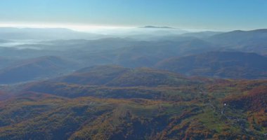 Karpatlar 'ın dağ ormanları vadisinde sabahın erken saatlerinde sisli sonbahar sahnesiyle