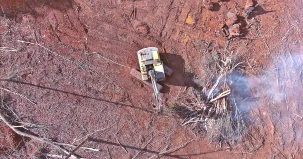 Eliminación Árboles Desarraigados Utilizando Trabajador Excavadora Para Construcción Viviendas Preparar — Vídeos de Stock