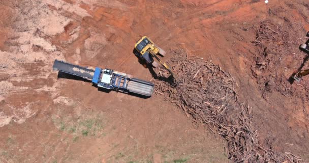 Trabajador Utiliza Cortar Trituradora Raíz Árbol Madera Sitio Construcción — Vídeos de Stock