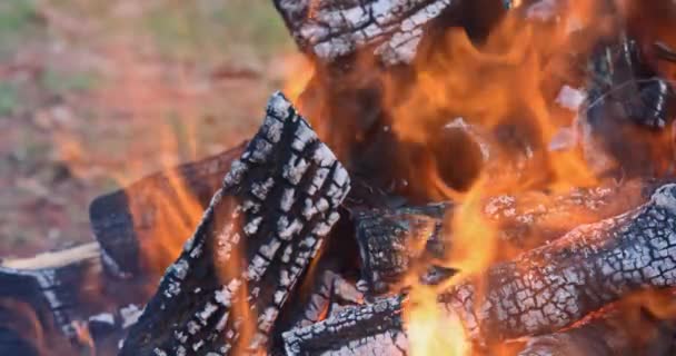Tábortűzben Égő Fatörzs Tábortűzben Égő Tűz Lángja — Stock videók