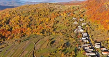 Karpatlar 'ın yüksek tarlalarda yuva yapmış sonbahar dağları