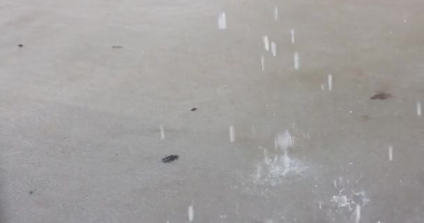 Ploaie Puternică Întâlnind Pistă Beton Jos Dinamică Timpul Vremii Nefavorabile — Videoclip de stoc