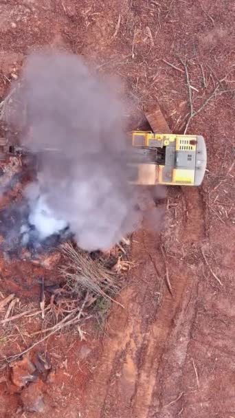 Výkopový Dělník Připravuje Půdu Spálením Vyvrácených Stromů Pro Stavbu Domu — Stock video