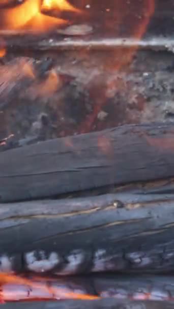 Flame Fire Burns Fireplace Burning Wood Log — Stock Video