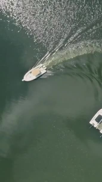 Прибрежные Марины Красота Лодки Парусные Причалы Океана Воздушном Виде — стоковое видео