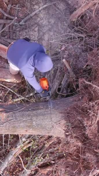 허리케인 Aftermath 유틸리티 노동자는 숲에서 떨어진 트렁크를 — 비디오