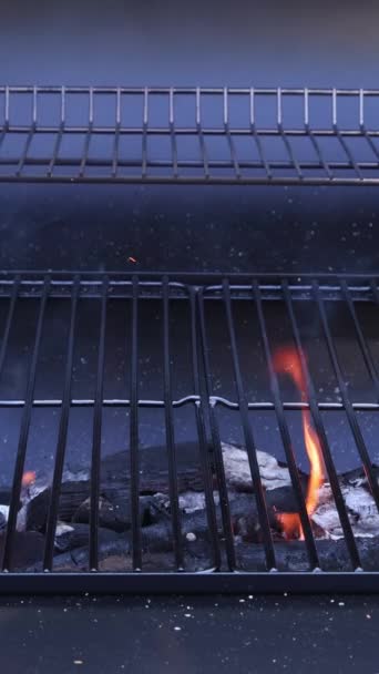 ブレイジングブラジルの薪は屋外での肉のグリルのためにバーベキューを熱します — ストック動画