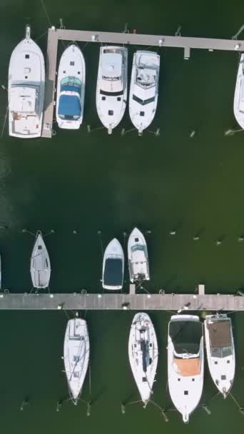 Gyönyörű Óceán Kikötő Mólón Jachtok Légi Panorámás — Stock videók