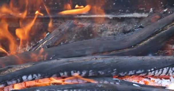 Eldflammor Brinnande Vedved — Stockvideo