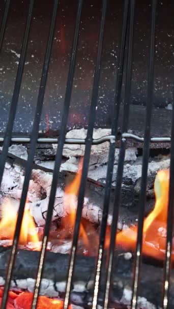 야외에서 그릴링 고기를위한 브라질 화재와 바베큐 — 비디오