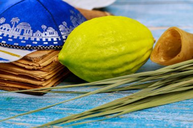 Etrog, lulav, hadas, arava, Yahudi Ortodoks Festivali 'nde kullanılan geleneksel sembollerdir.